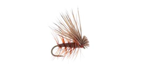 Foam Elk Hair Caddis - Brown 6 Pack CLOSEOUT